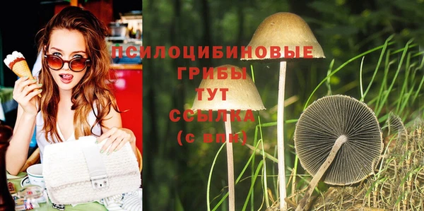 бошки Новозыбков