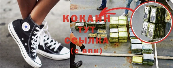 бошки Новозыбков