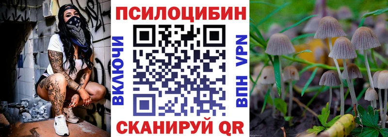 Галлюциногенные грибы Psilocybine cubensis  что такое   Слюдянка 