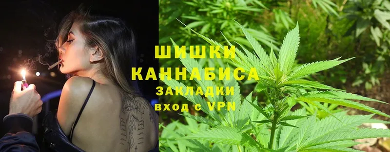 Шишки марихуана планчик  как найти закладки  Слюдянка 